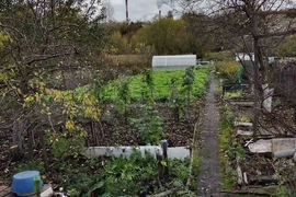 Участок 7 сот. (СНТ, ДНП)